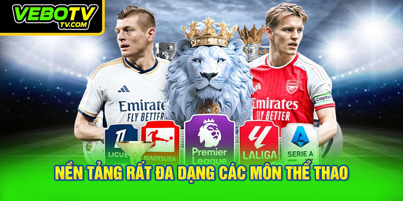 Nền tảng của chúng tôi rất đa dạng các môn thể thao
