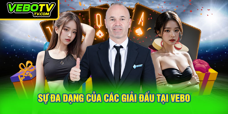 Sự đa dạng của các giải đấu tại VEBO