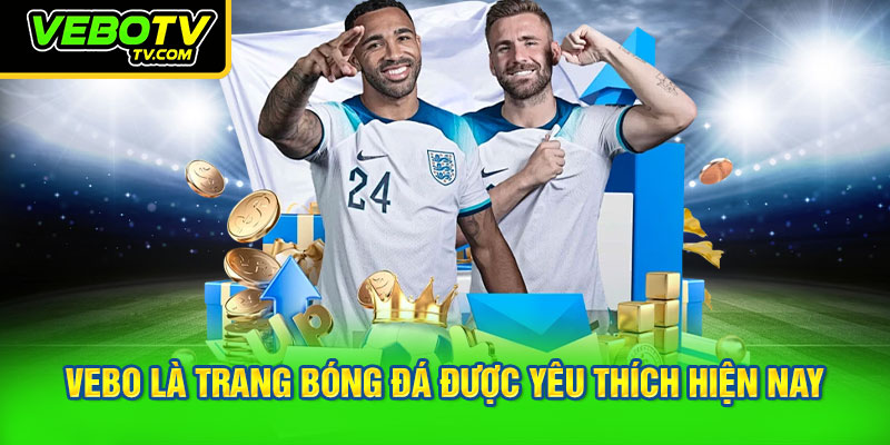 VEBO là trang bóng đá được yêu thích hiện nay